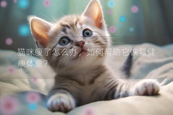 猫咪瘦了怎么办，如何帮助它恢复健康体重？