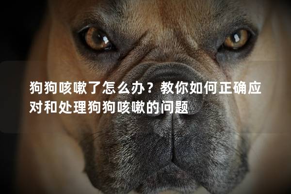 狗狗咳嗽了怎么办？教你如何正确应对和处理狗狗咳嗽的问题