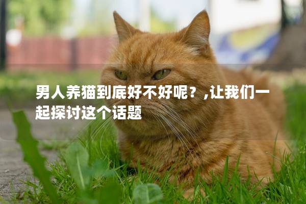 男人养猫到底好不好呢？,让我们一起探讨这个话题