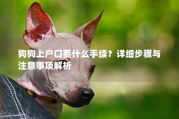 狗狗上户口要什么手续？详细步骤与注意事项解析