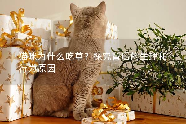 猫咪为什么吃草?探究背后的生理和行为原因