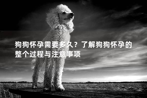 狗狗怀孕需要多久？了解狗狗怀孕的整个过程与注意事项