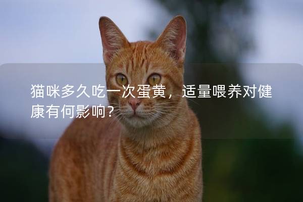 猫咪多久吃一次蛋黄，适量喂养对健康有何影响？