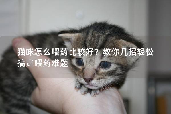 猫咪怎么喂药比较好？教你几招轻松搞定喂药难题