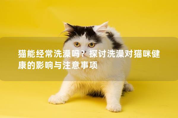 猫能经常洗澡吗？探讨洗澡对猫咪健康的影响与注意事项