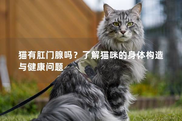 猫有肛门腺吗？了解猫咪的身体构造与健康问题