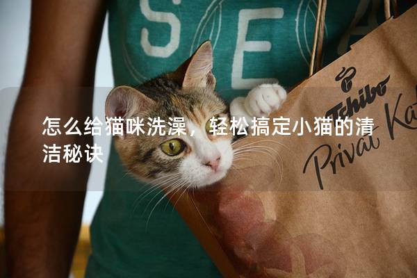 怎么给猫咪洗澡，轻松搞定小猫的清洁秘诀