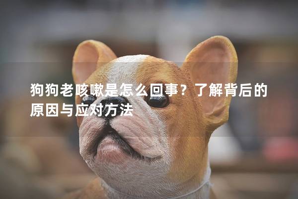 狗狗老咳嗽是怎么回事？了解背后的原因与应对方法