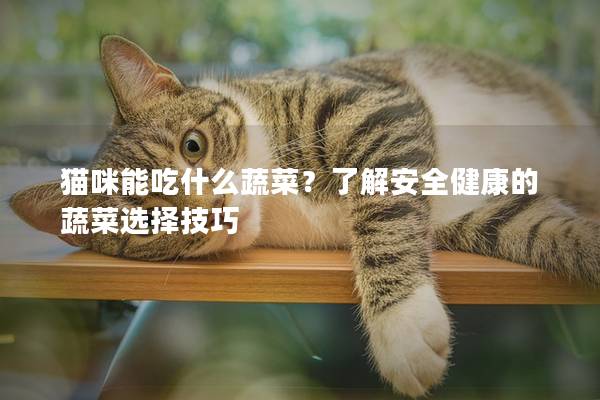 猫咪能吃什么蔬菜？了解安全健康的蔬菜选择技巧