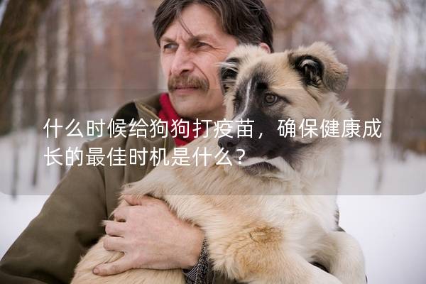 什么时候给狗狗打疫苗，确保健康成长的最佳时机是什么？