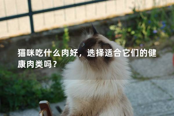 猫咪吃什么肉好，选择适合它们的健康肉类吗？