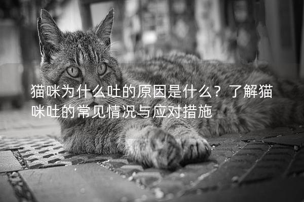 猫咪为什么吐的原因是什么？了解猫咪吐的常见情况与应对措施