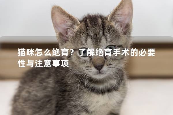 猫咪怎么绝育？了解绝育手术的必要性与注意事项