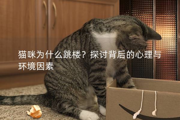 猫咪为什么跳楼？探讨背后的心理与环境因素