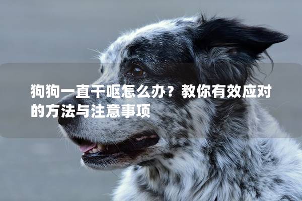 狗狗一直干呕怎么办？教你有效应对的方法与注意事项