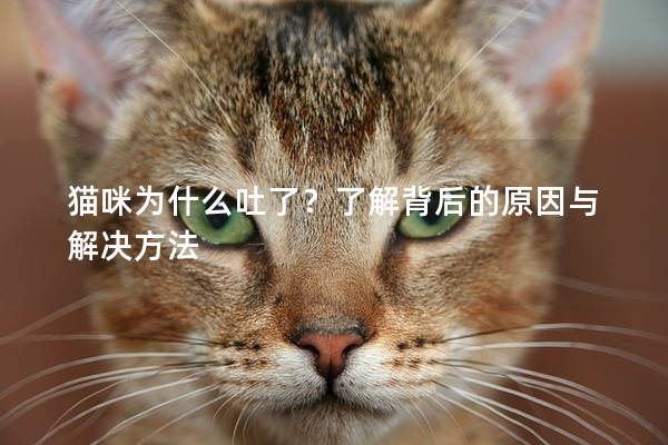 猫咪为什么吐了？了解背后的原因与解决方法