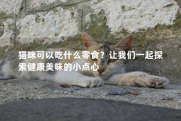 猫咪可以吃什么零食？让我们一起探索健康美味的小点心