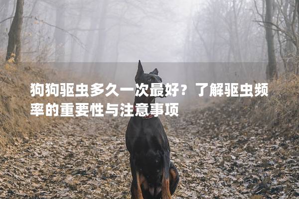 狗狗驱虫多久一次最好？了解驱虫频率的重要性与注意事项