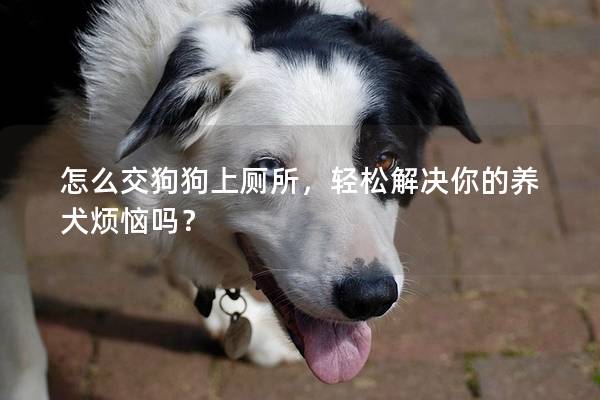 怎么交狗狗上厕所，轻松解决你的养犬烦恼吗？