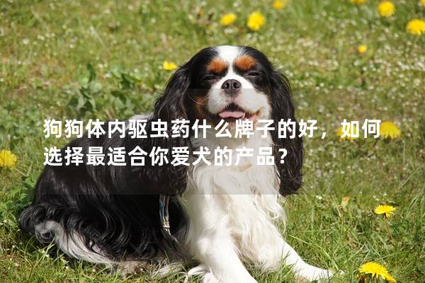 狗狗体内驱虫药什么牌子的好，如何选择最适合你爱犬的产品？