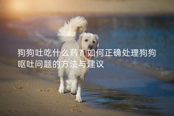 狗狗吐吃什么药？如何正确处理狗狗呕吐问题的方法与建议