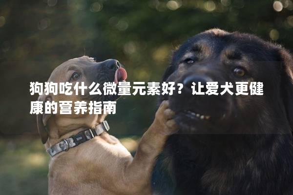 狗狗吃什么微量元素好？让爱犬更健康的营养指南