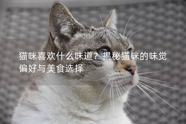 猫咪喜欢什么味道？揭秘猫咪的味觉偏好与美食选择