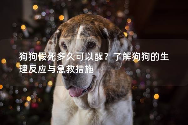 狗狗假死多久可以醒？了解狗狗的生理反应与急救措施