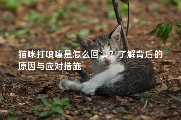 猫咪打喷嚏是怎么回事？了解背后的原因与应对措施