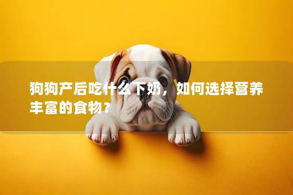 狗狗产后吃什么下奶，如何选择营养丰富的食物？