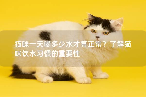 猫咪一天喝多少水才算正常？了解猫咪饮水习惯的重要性