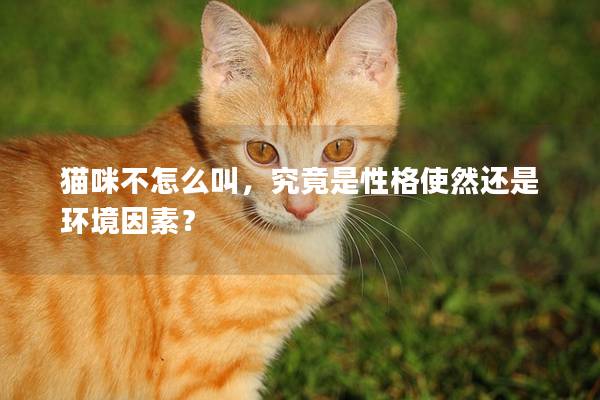 猫咪不怎么叫，究竟是性格使然还是环境因素？