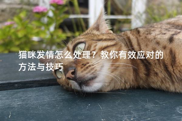 猫咪发情怎么处理？教你有效应对的方法与技巧