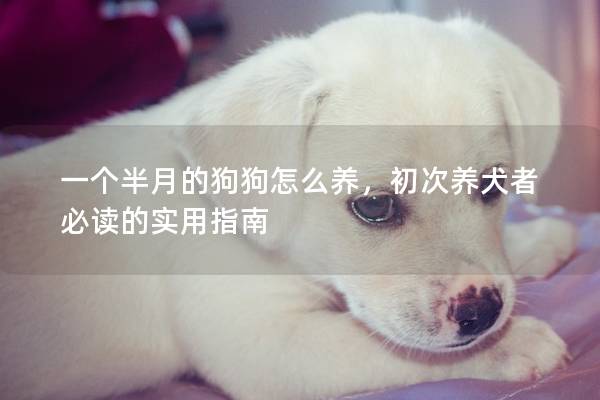 一个半月的狗狗怎么养，初次养犬者必读的实用指南