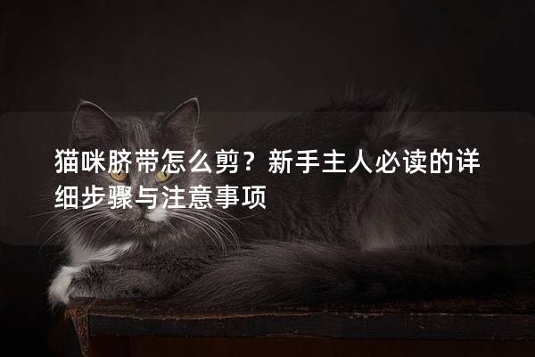 猫咪脐带怎么剪？新手主人必读的详细步骤与注意事项