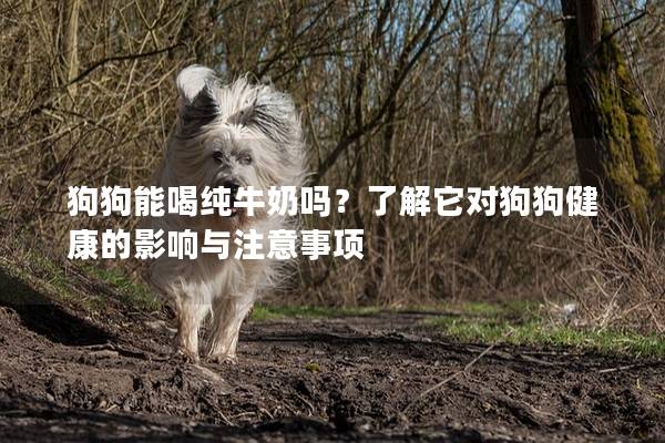 狗狗能喝纯牛奶吗？了解它对狗狗健康的影响与注意事项