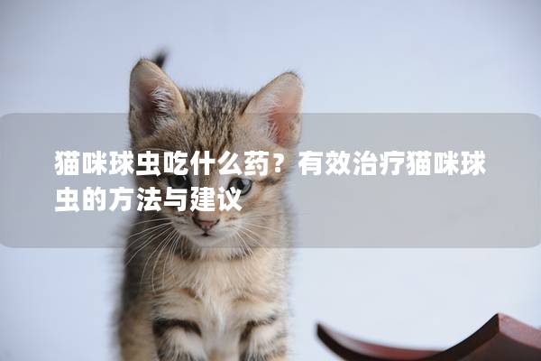 猫咪球虫吃什么药？有效治疗猫咪球虫的方法与建议