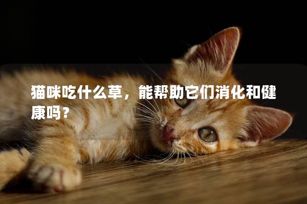 猫咪吃什么草，能帮助它们消化和健康吗？