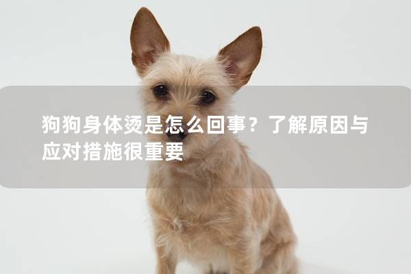 狗狗身体烫是怎么回事？了解原因与应对措施很重要