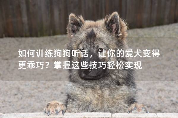 如何训练狗狗听话，让你的爱犬变得更乖巧？掌握这些技巧轻松实现