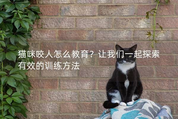 猫咪咬人怎么教育？让我们一起探索有效的训练方法