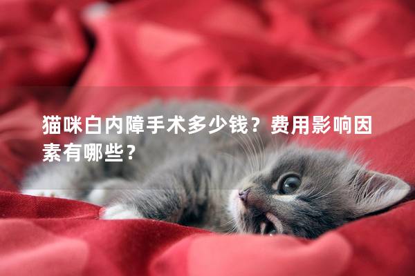 猫咪白内障手术多少钱？费用影响因素有哪些？