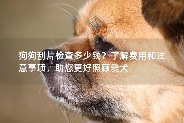 狗狗刮片检查多少钱？了解费用和注意事项，助您更好照顾爱犬