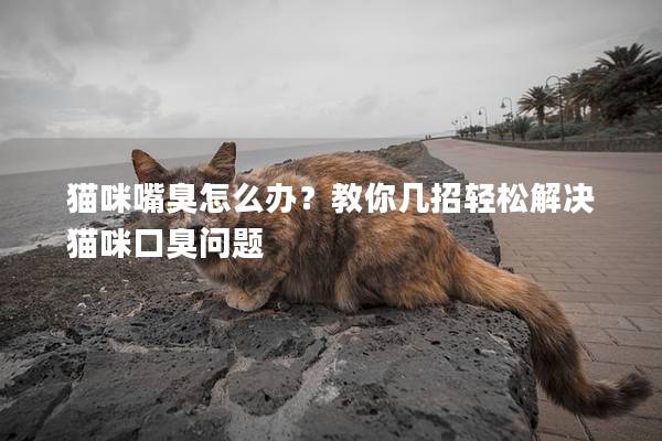 猫咪嘴臭怎么办？教你几招轻松解决猫咪口臭问题