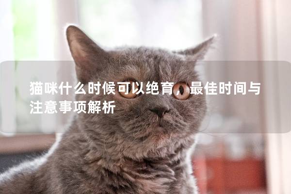 猫咪什么时候可以绝育，最佳时间与注意事项解析