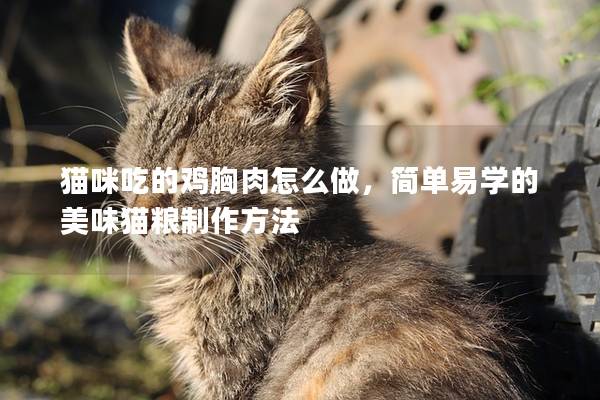 猫咪吃的鸡胸肉怎么做，简单易学的美味猫粮制作方法