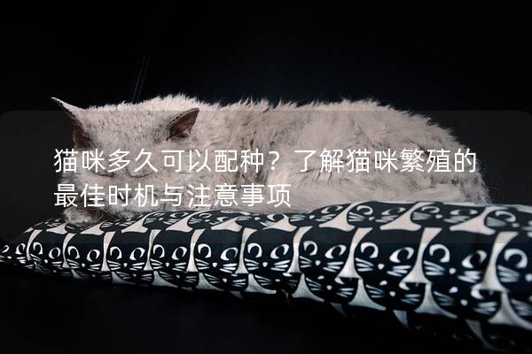 猫咪多久可以配种？了解猫咪繁殖的最佳时机与注意事项