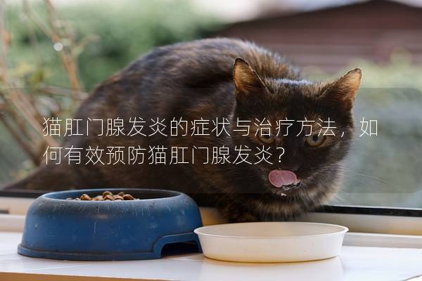 猫肛门腺发炎的症状与治疗方法，如何有效预防猫肛门腺发炎？