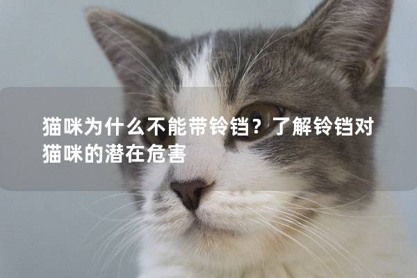 猫咪为什么不能带铃铛？了解铃铛对猫咪的潜在危害