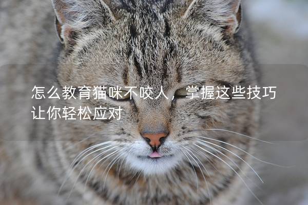 怎么教育猫咪不咬人，掌握这些技巧让你轻松应对